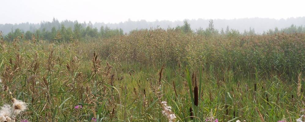 
            Фотография Прокошево