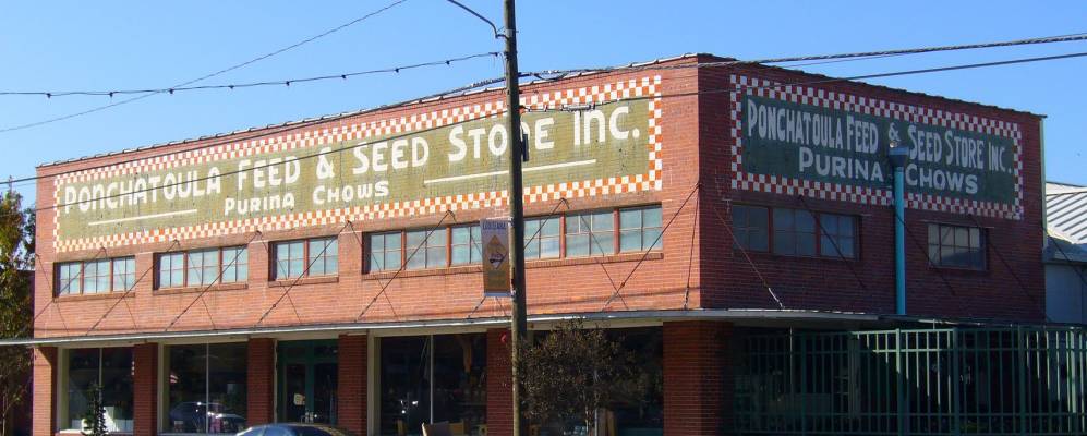 
            Фотография Пончатуы