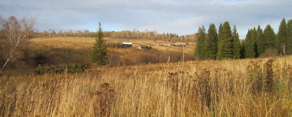 
            Фотография Чибуринского