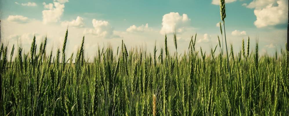 Фотография Красной Слободы