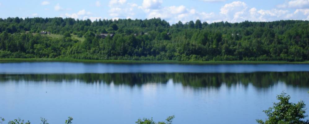 
            Фотография Сафоново