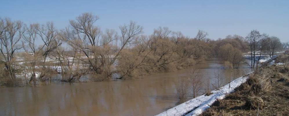 Фотография Ярцево