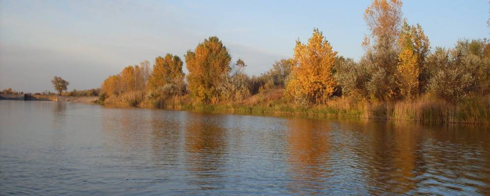 
            Фотография Лысковки