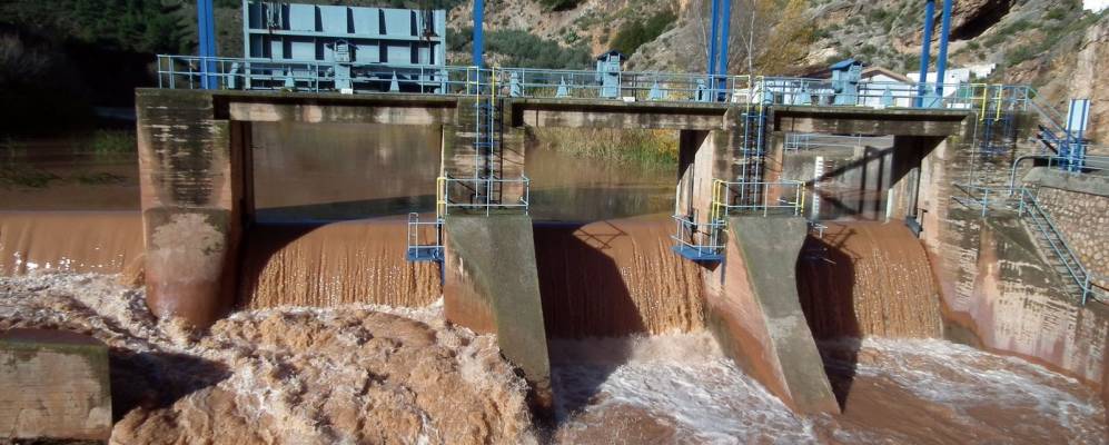 
            Фотография Льетора