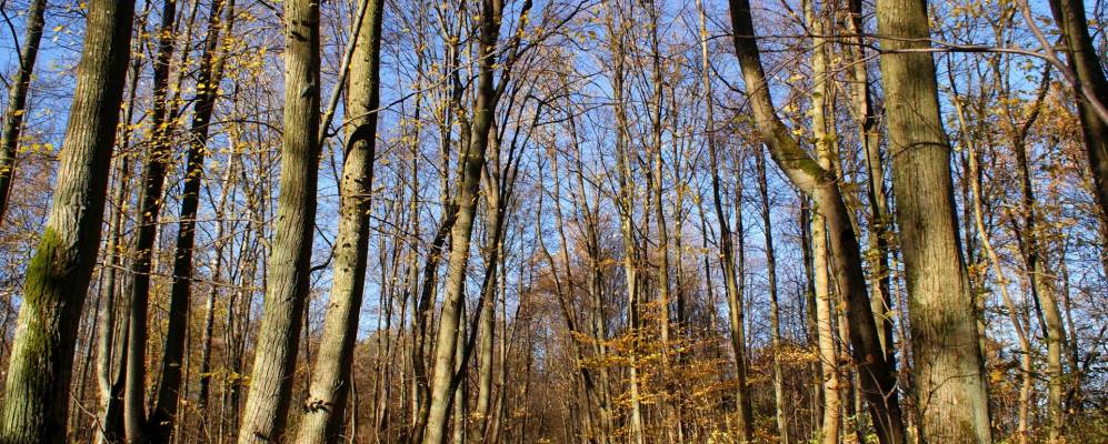 
            Фотография Красной Горки