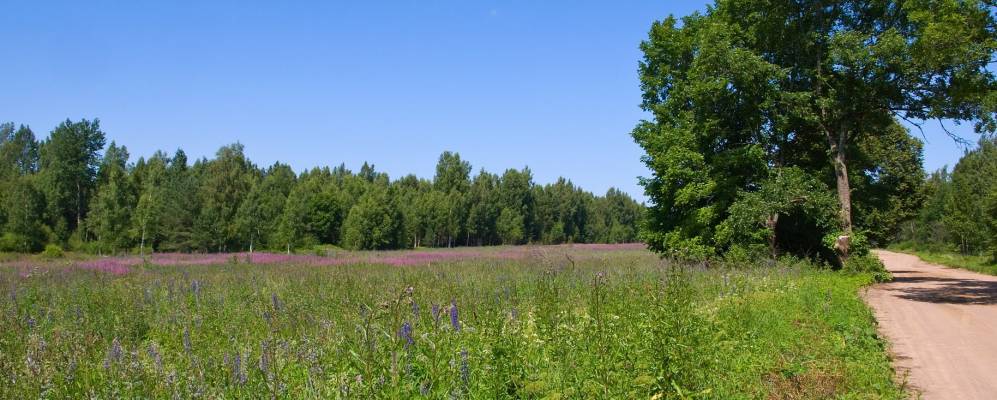 Фотография Ямно