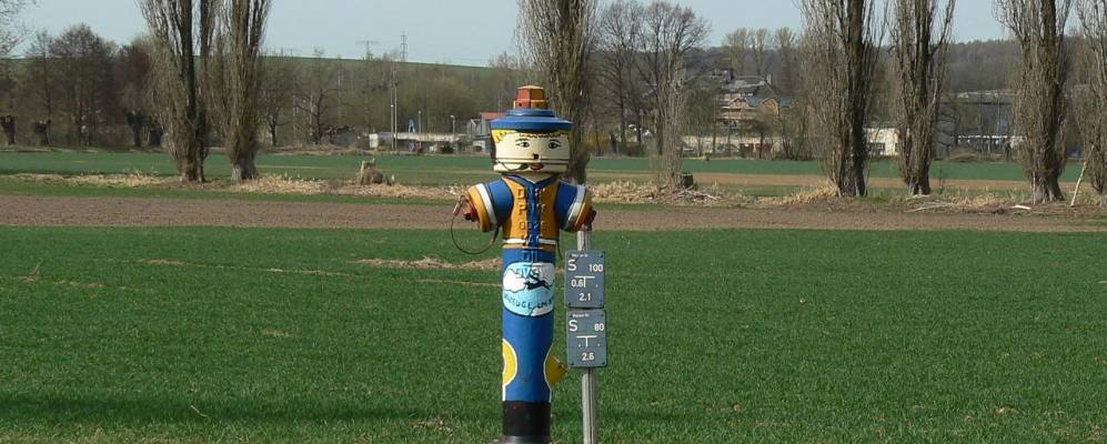 
            Фотография Нобица