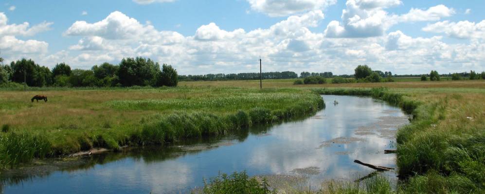 
            Фотография Руды