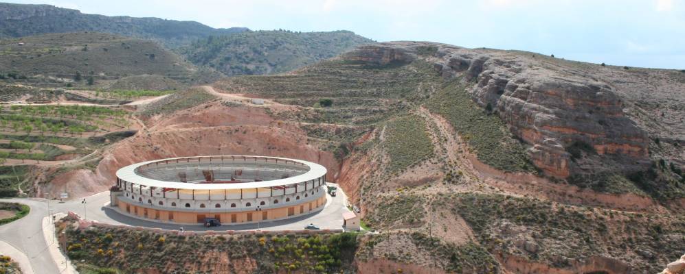 
            Фотография Алькорисы