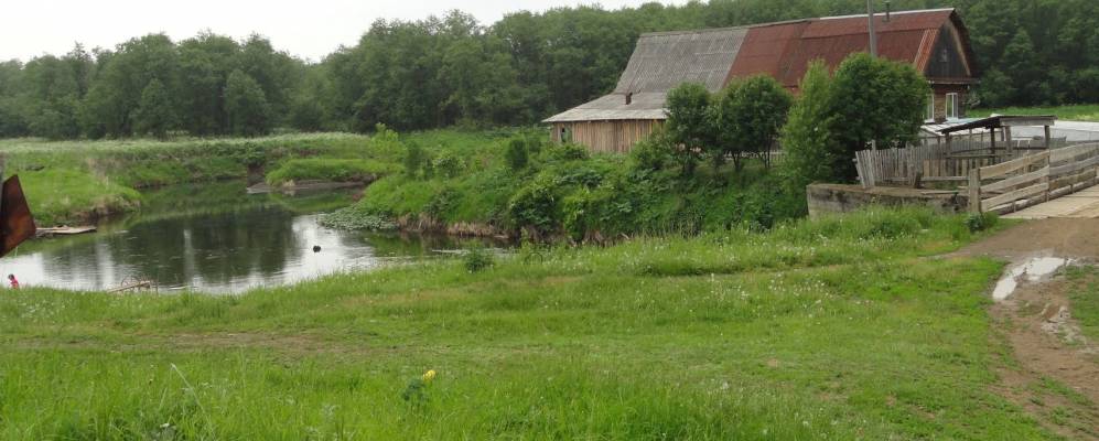 
            Фотография Молебки