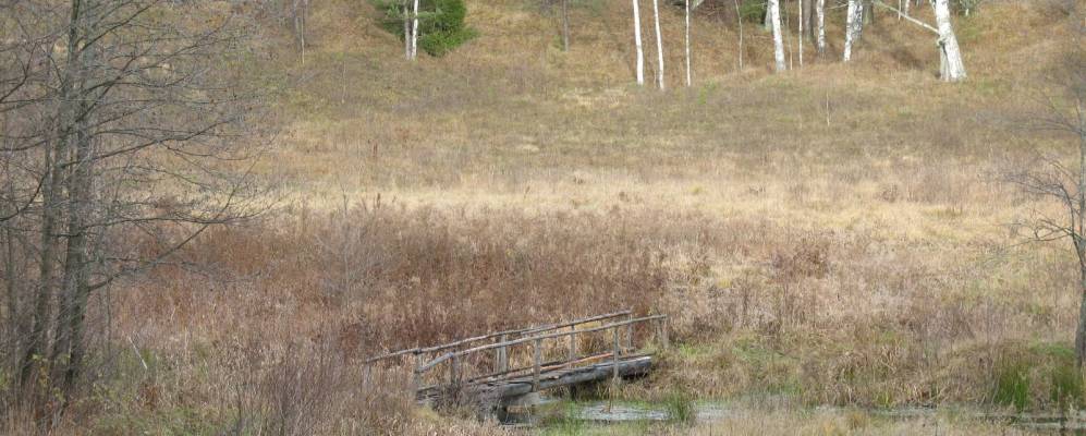 
            Фотография Быльцино