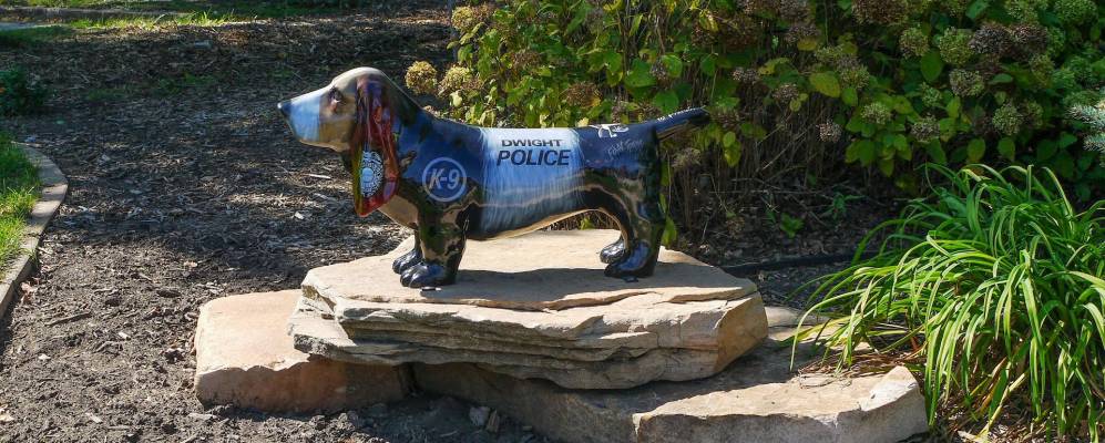 
            Фотография Дуайта