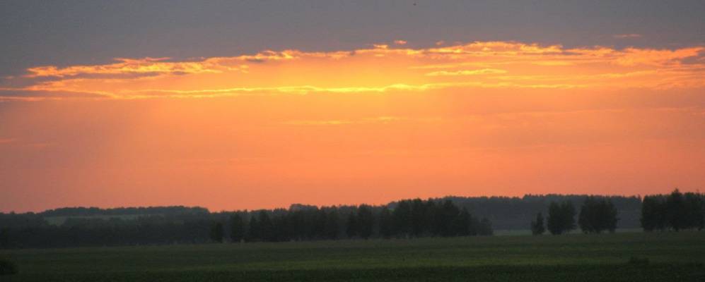 
            Фотография Бобрика