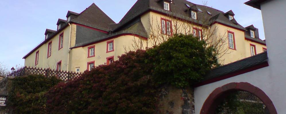 
            Фотография Дауна