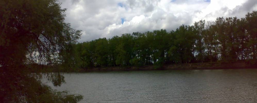 
            Фотография Богдасарова