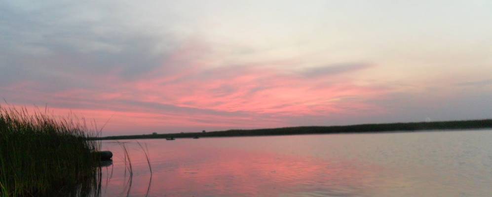 
            Фотография Новопричепиловки