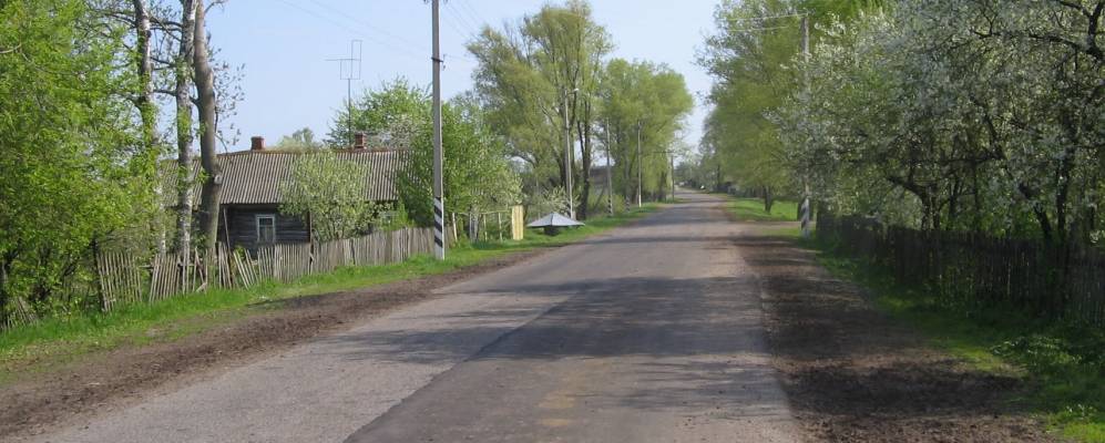 
            Фотография Возрождения