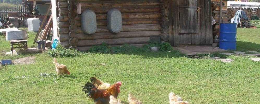 Фотография Гари