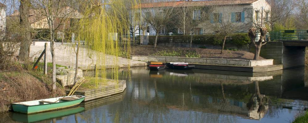 
            Фотография Ле Мазо