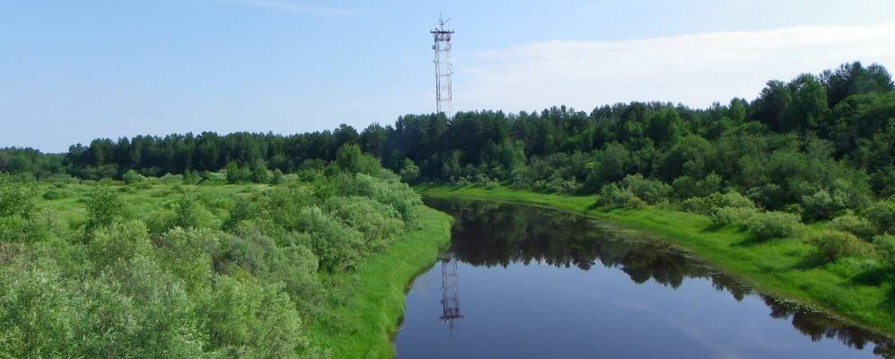Фотография Власовской