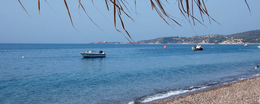 
            Фотография Ватеры