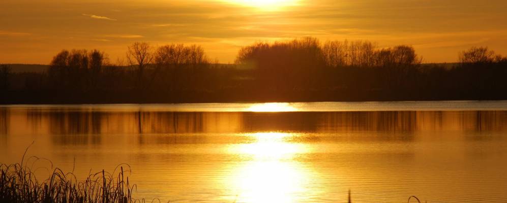 
            Фотография Плисы-1