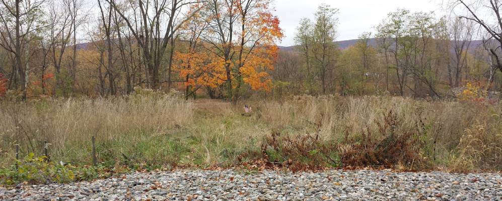 
            Фотография Эксетера