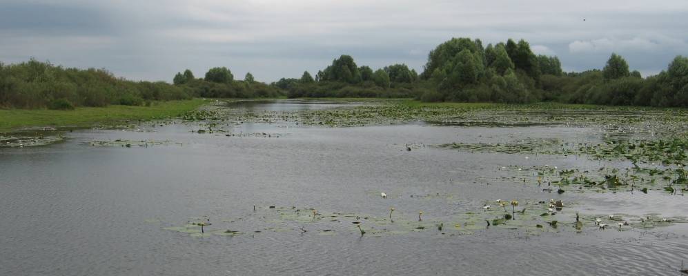 
            Фотография Гарцаевки