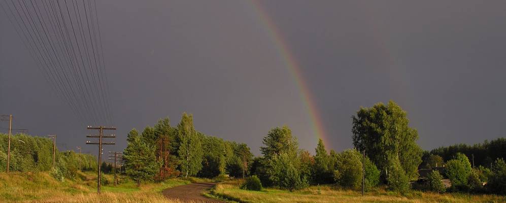 
            Фотография Березовки