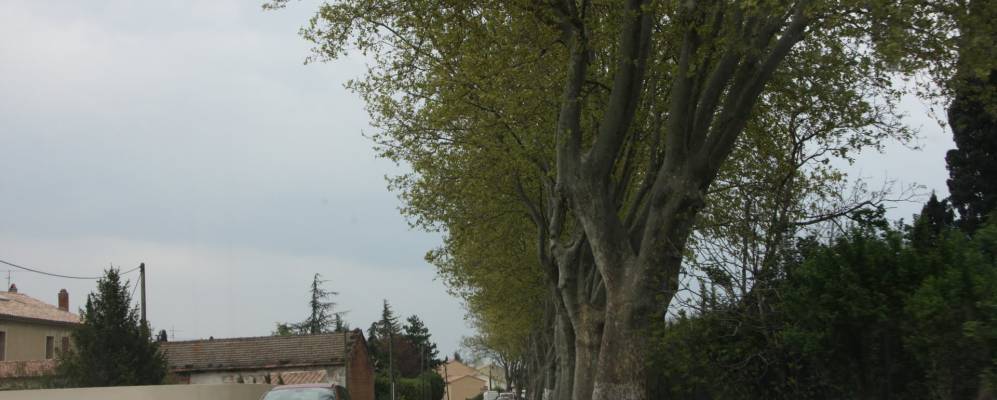 
            Фотография Роньона