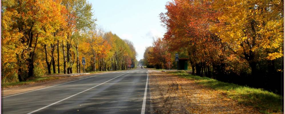 
            Фотография Ольгина Поля
