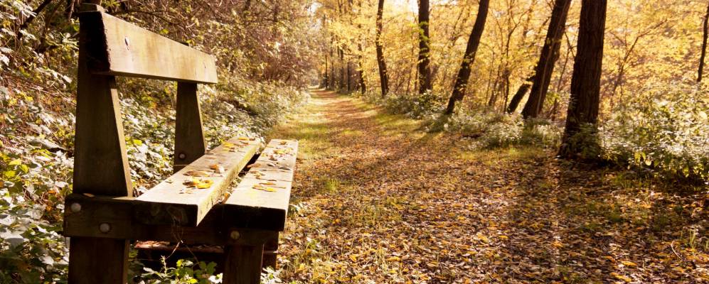 
            Фотография Джаччиано кон Барукелы