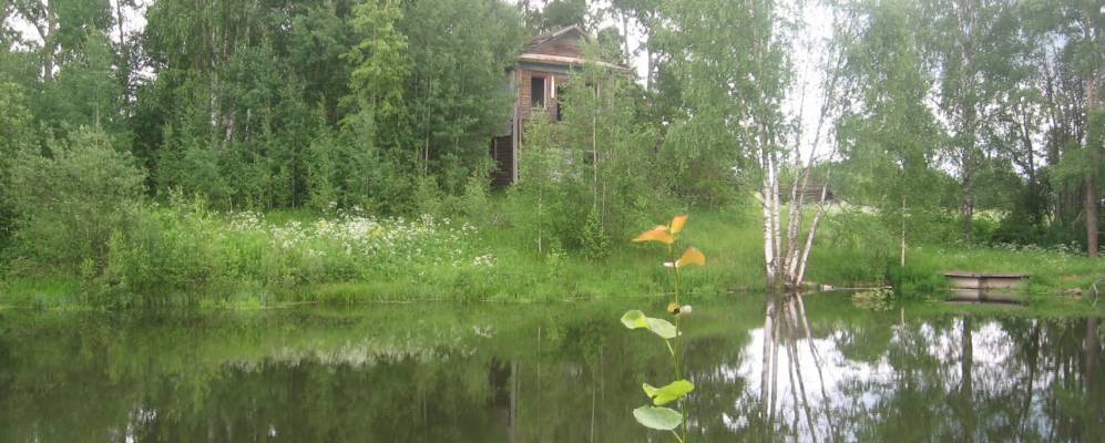 
            Фотография Кикиморок