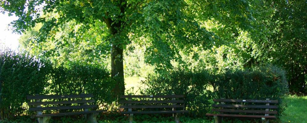 
            Фотография Люцельбаха