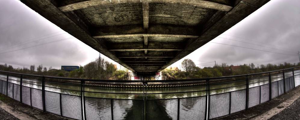 
            Фотография Ракинема