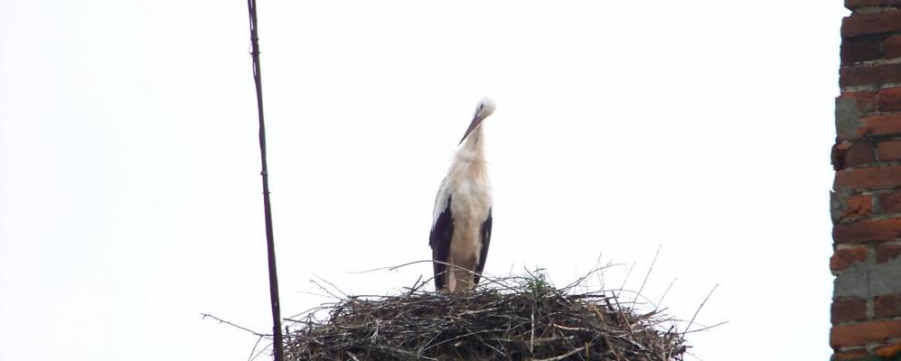
            Фотография Верхней Липицы