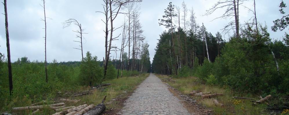 
            Фотография Старой Радча