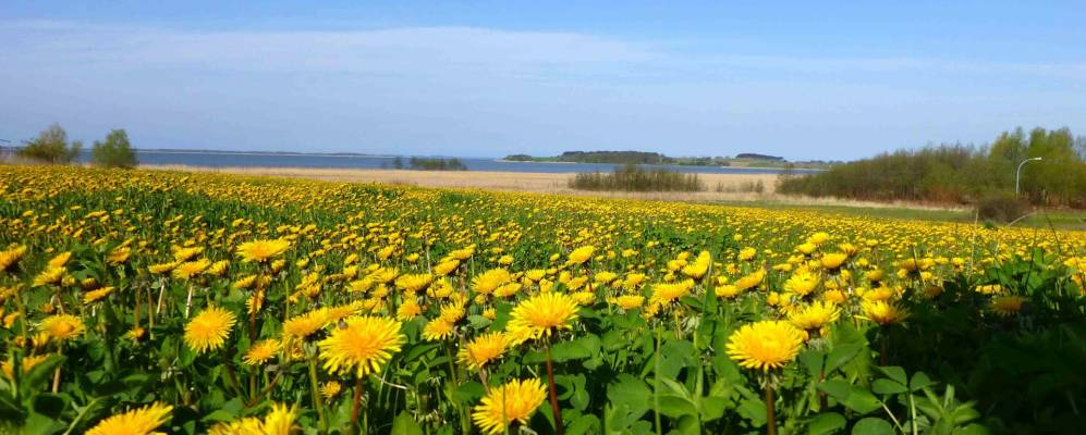 
            Фотография Икеритца