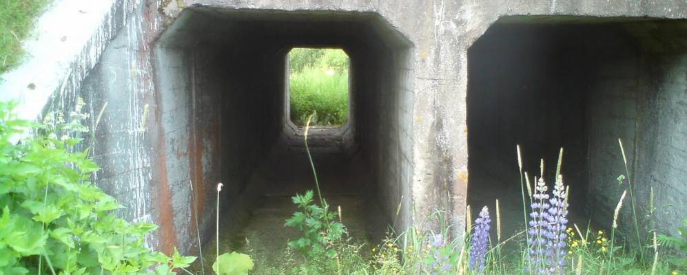 
            Фотография Вяльково