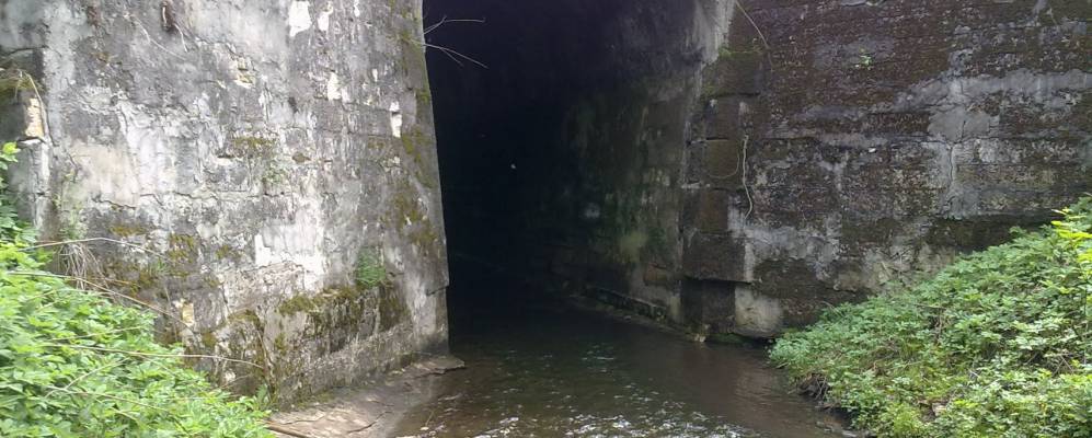 Фотография Фролово