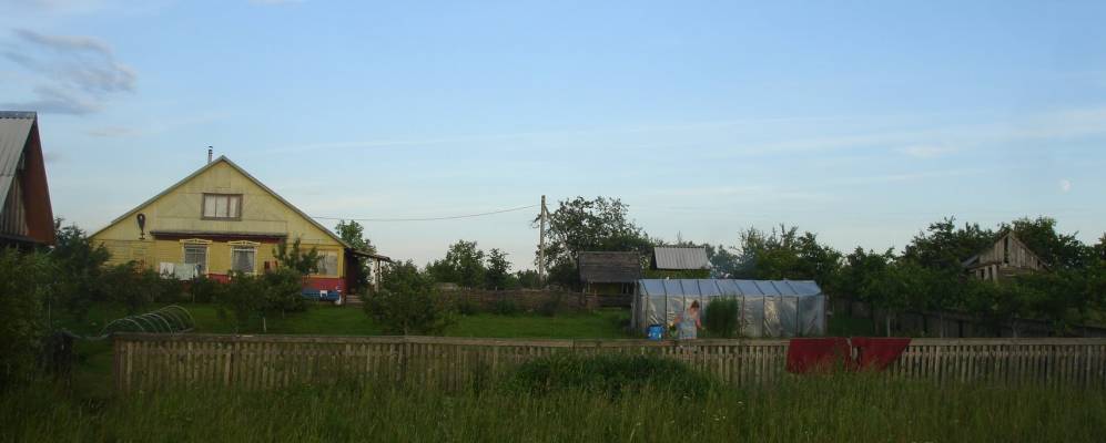 Фотография Солонца