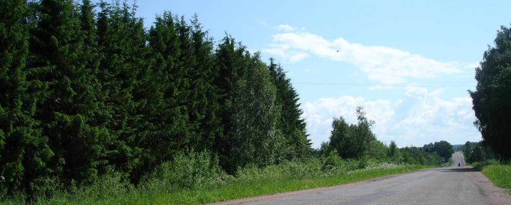 
            Фотография Белого Берега