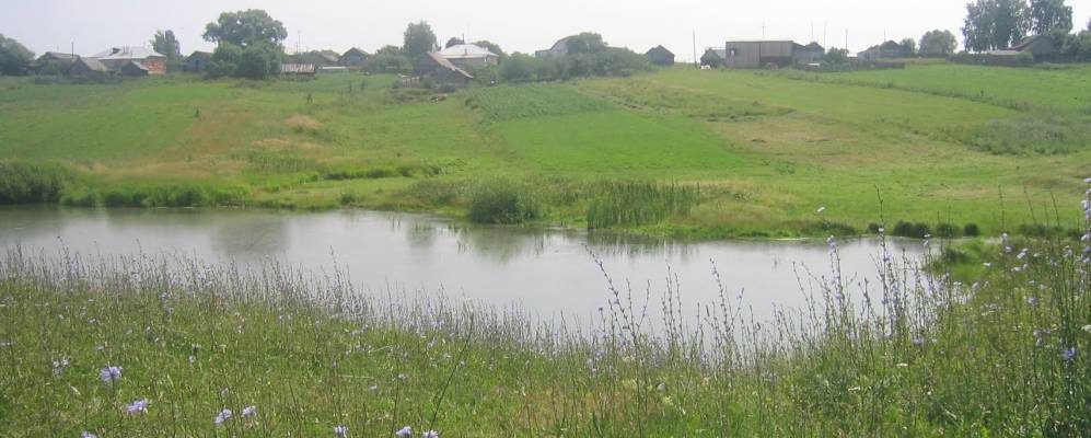 
            Фотография Шандрово