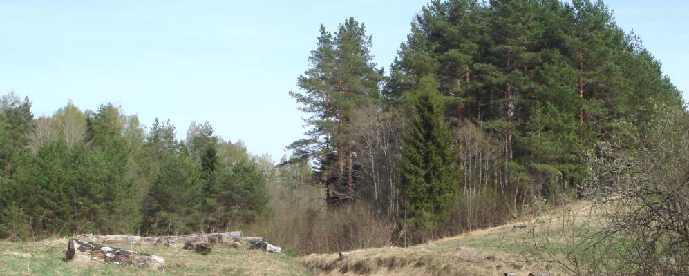 
            Фотография Пучнино