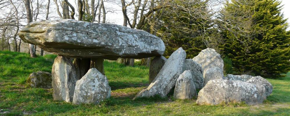 
            Фотография Кросака