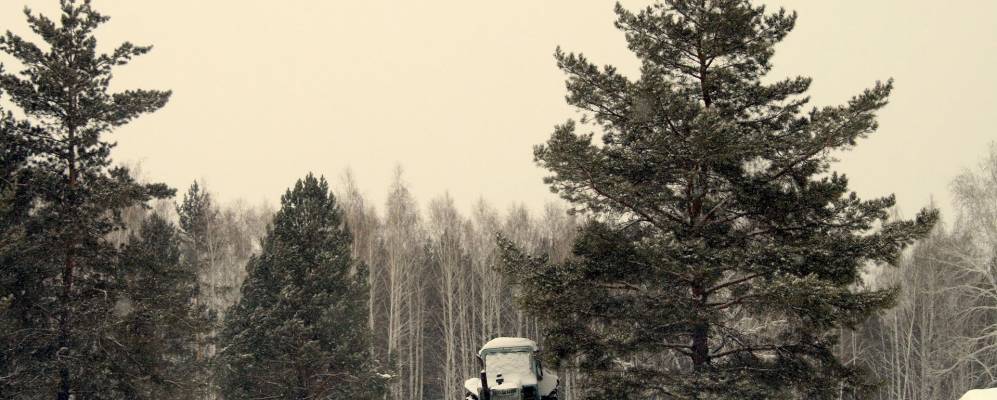 
            Фотография Солодянки