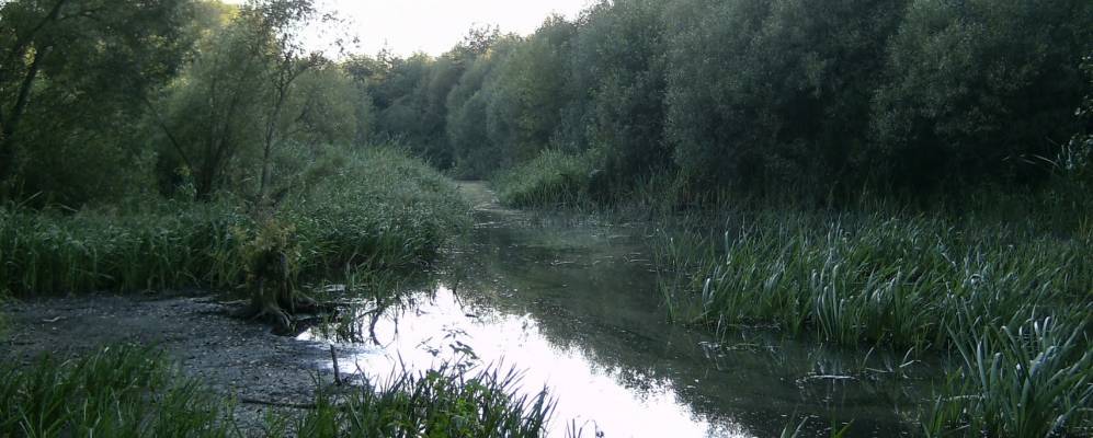 
            Фотография Червоной Слободы