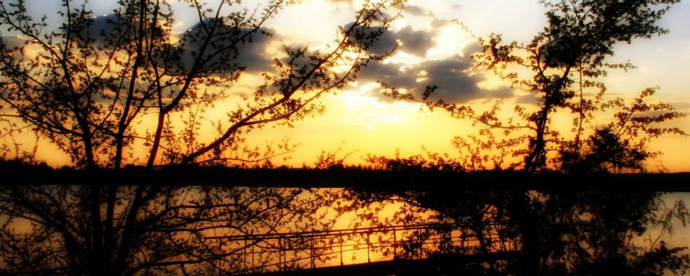 Фотография Мироцкого