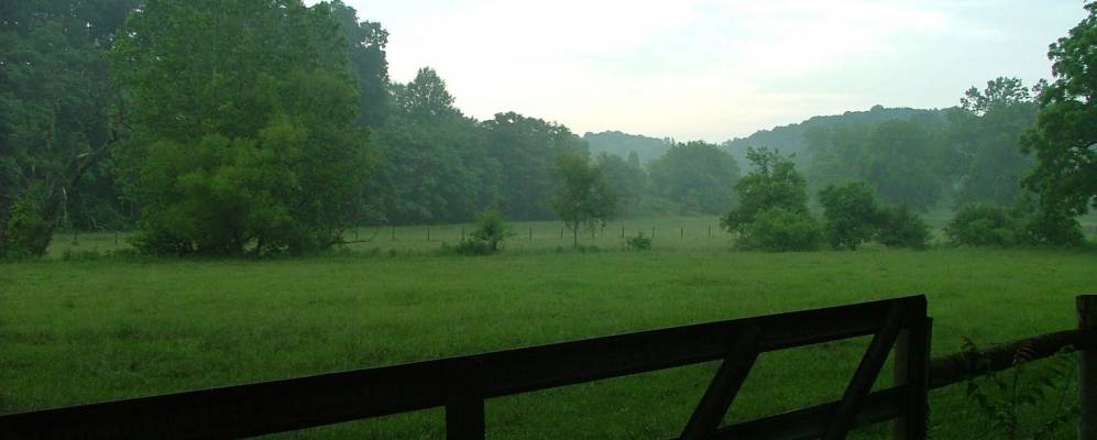 
            Фотография Грин Вели