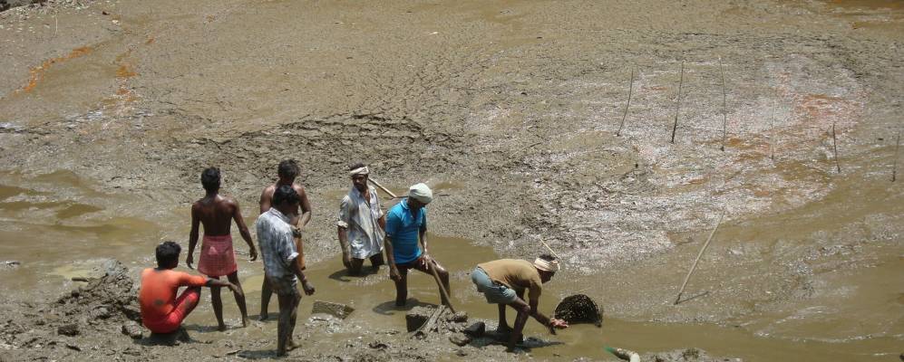 
            Фотография Маттанура